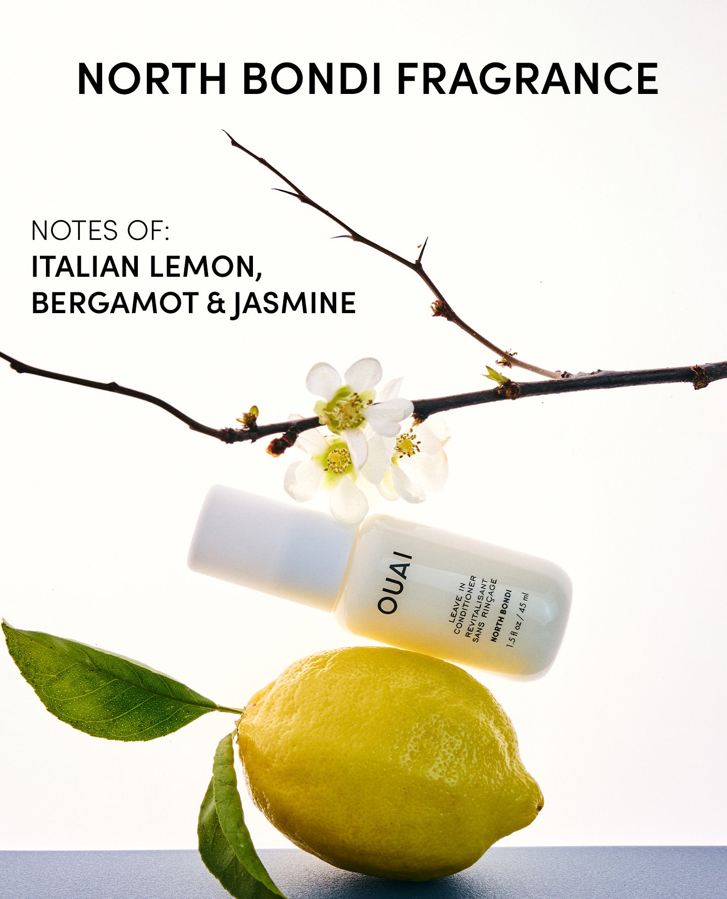 Leave in Conditioner North Bondi - Travel - Image 11